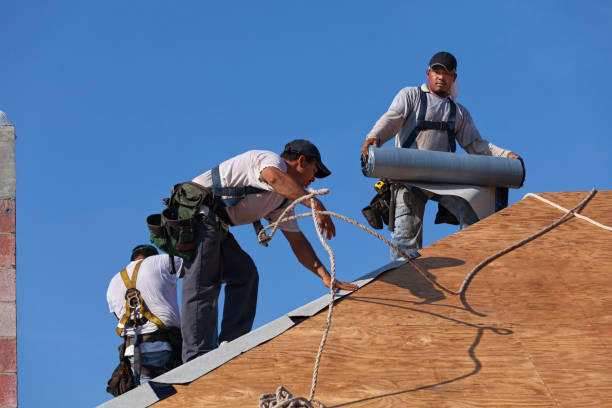 Best Roof Gutter Cleaning  in Fort Stockton, TX